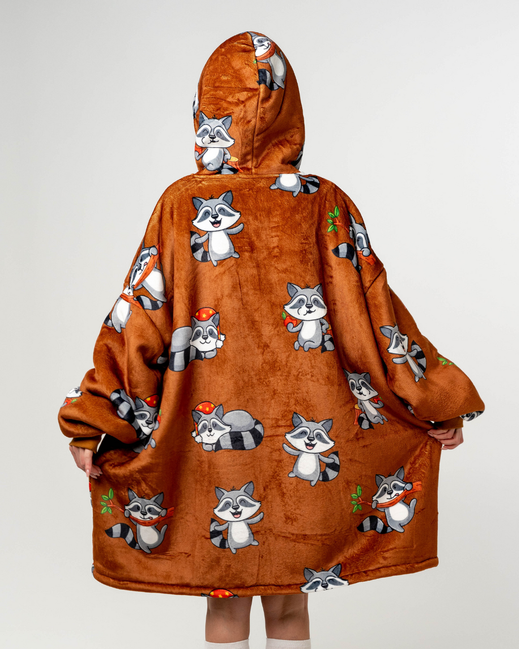 Mielasis Meškėnas hudis