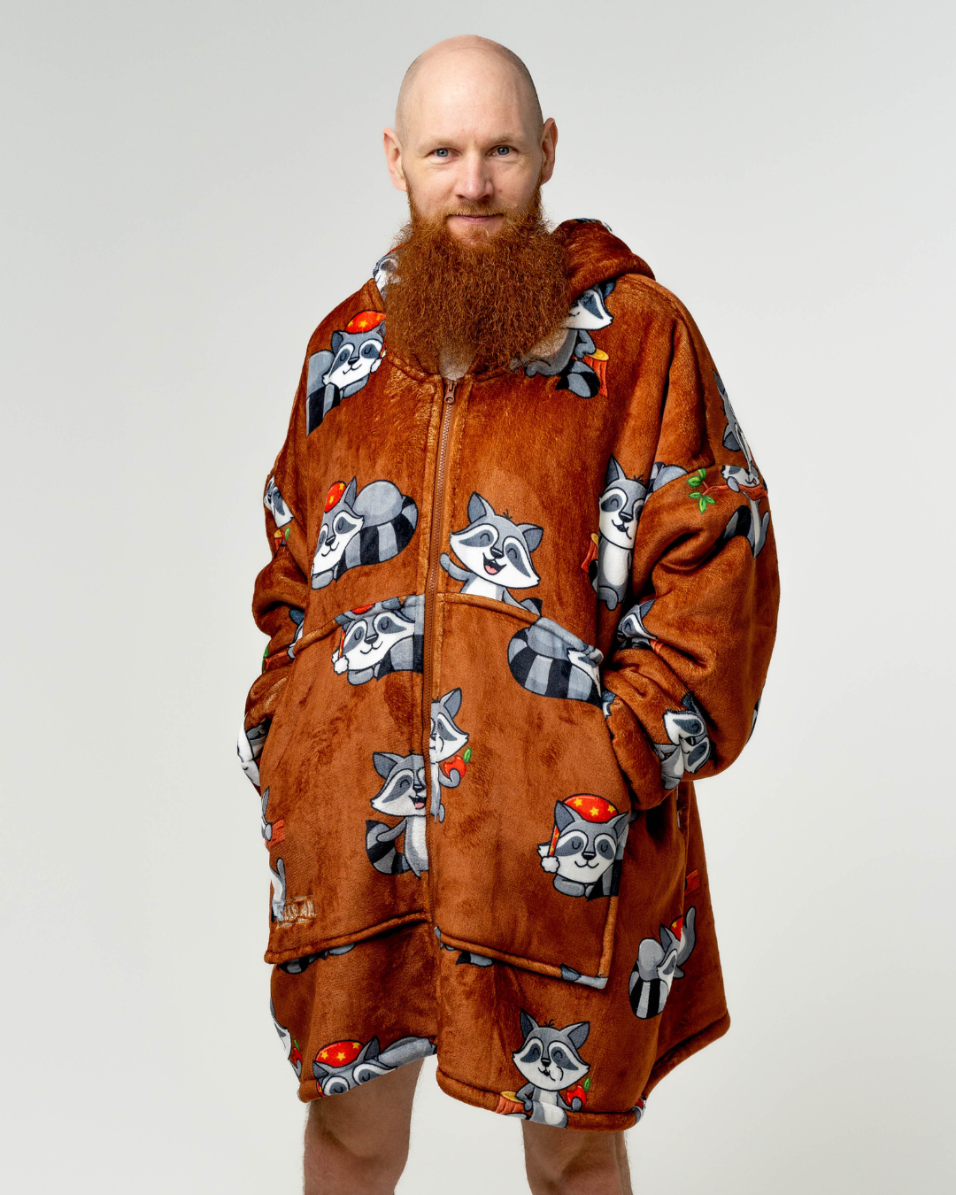 Mielasis Meškėnas hudis