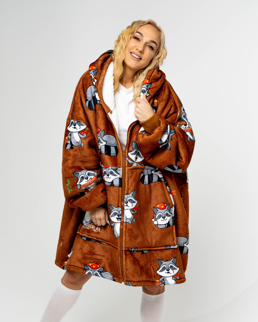 Mielasis Meškėnas hudis