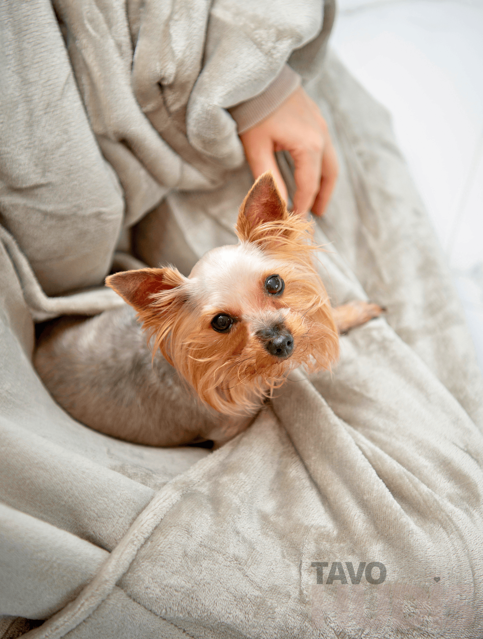 Chaki spalvos kengūros hudi