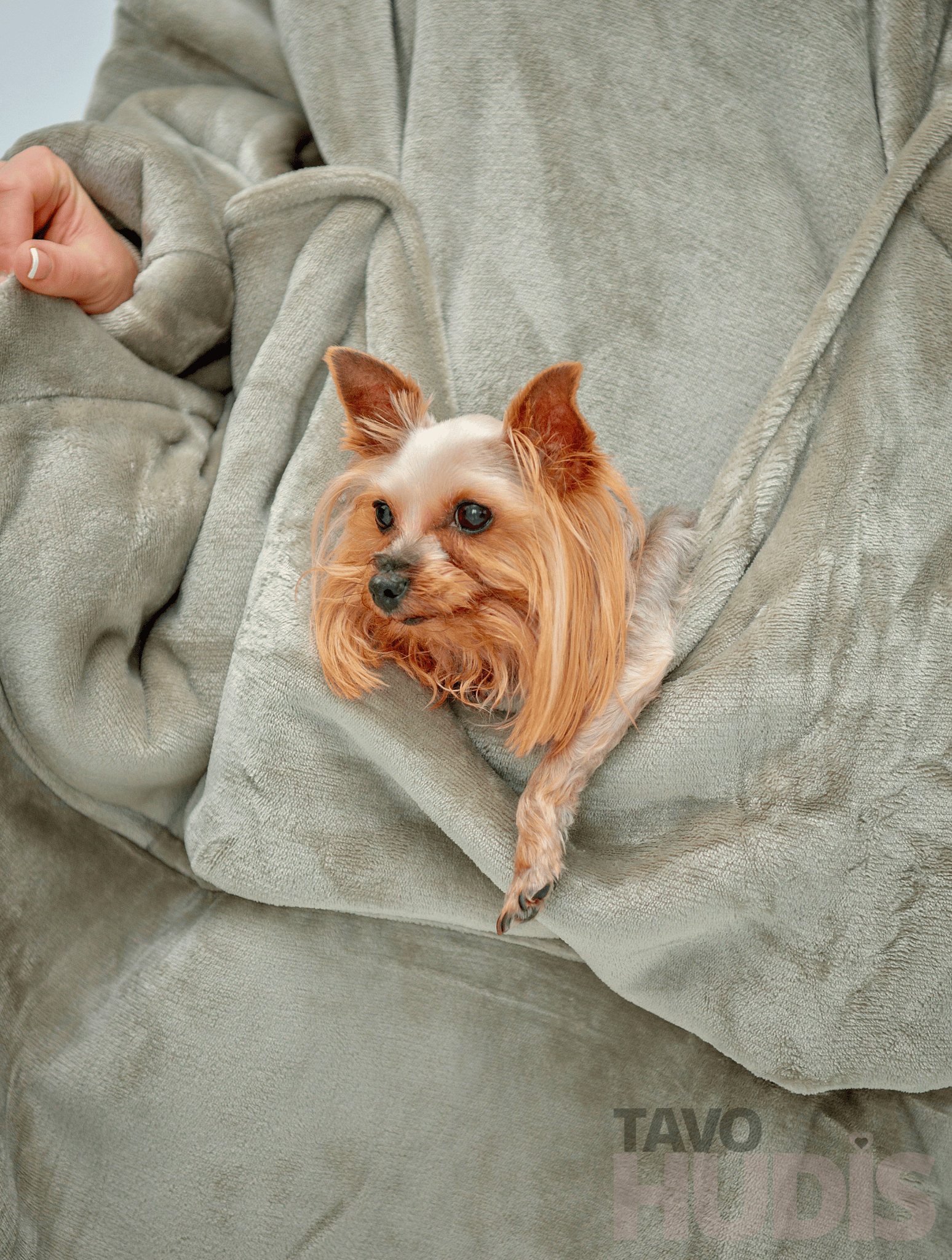 Chaki spalvos kengūros hudi