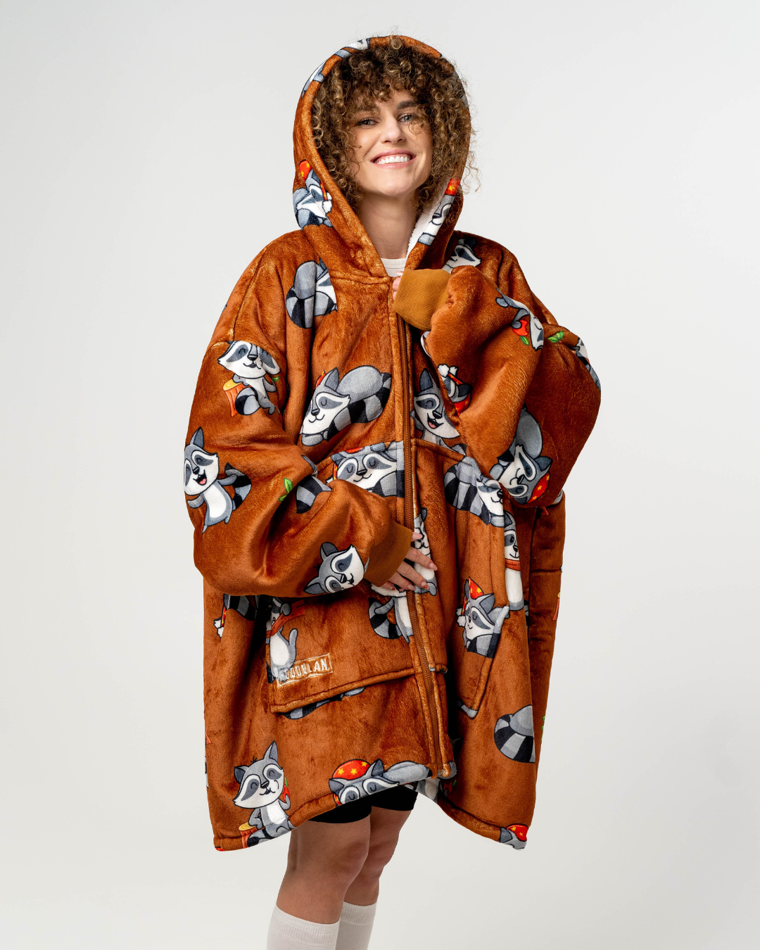 Mielasis Meškėnas hudis