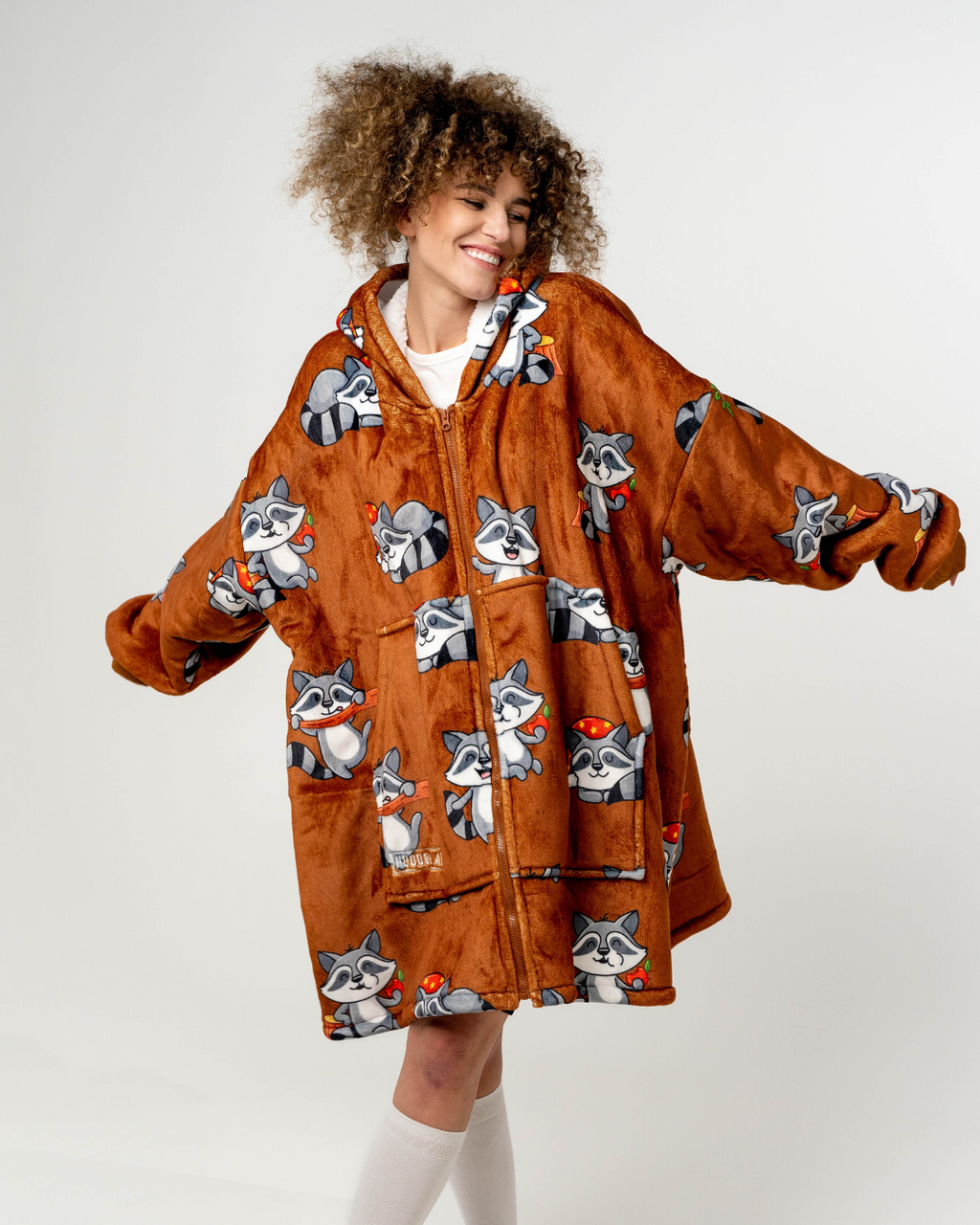 Mielasis Meškėnas hudis